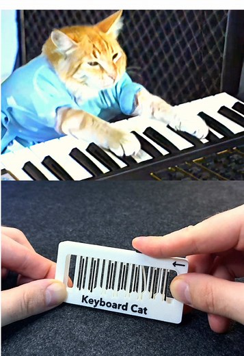 Fidget Musical 3D Print: Keyboard Cat Meme Fun
