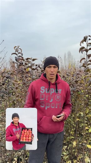 kochatchilik sirlari on Instagram: "#quvasoy #sirdaryo #хоразм #бухоро #rek"