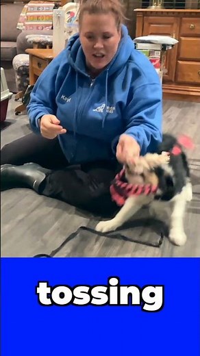 Build Relationship FAST - Puppy Training Basics