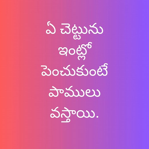 26K views · 107 reactions | ఏ చెట్టును ఇంట్లో పెంచుకుంటే పాములు వస్తాయి. | Hyper Comedy | Facebook