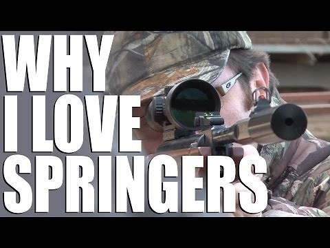 Why I love spring air rifles + Walther LGV review