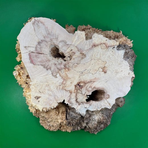 20" Burl Maple Live Edge Wood Slab, Epoxy Resin - Etsy