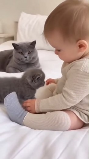 Baby Hugs a Hissing Kitten… What Happens Next 😭🐱💞 It’s a magical moment of connection — a baby’s love turning fear into trust. 💞 #cutebabyVideo #followersreelsfypシ゚viralシfypシ゚viralシalシunnyDog #dogloverovers #AIdorableMoment #ViralVideo #dogsofinstagramReel #PetReels #cutebabyAnimals #babyyAndDog #lovepets | CB Culture