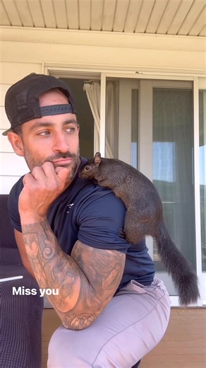 Peanuts Freedom Farm Animal Sanctuary Inc. will live on in peanuts memory. Donate to our nonprofit and help us continue to save animals in peanuts name ❤️ patreon.com/user?u=93505435 | A Squirrel Named Peanut