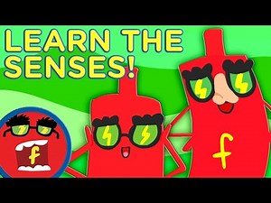 Fredbot Learns The Senses!