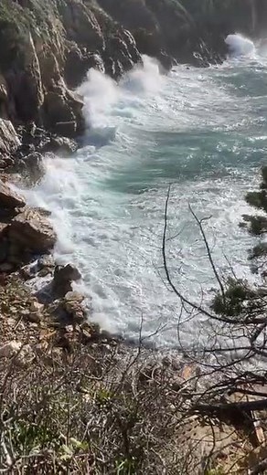 Ile du Levant - Coup de vent sur la calanque des Moines