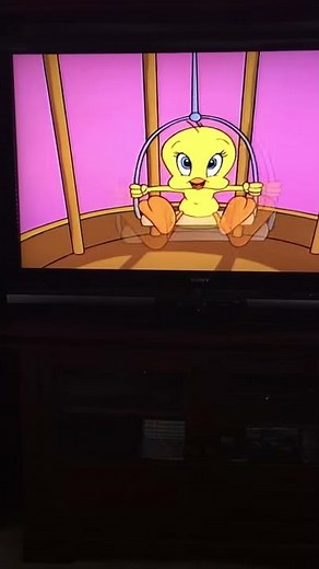 Sylvester & tweety Mysteries Theme song