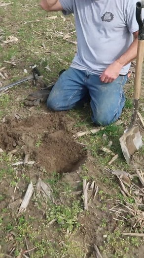 9.3K views · 349 reactions | Uncommon find! #money #coin #eagle | Gone Diggin | Facebook