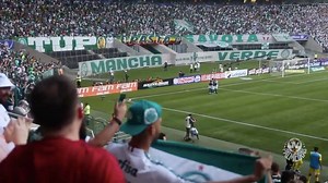 201K views · 895 shares | Para encerrar esse domingão de pré-carnaval, bora rever os nossos gols marcados no #BlocoDaVirada?! Confira aí, boa noite e até amanhã, família!  #AvantiPalestra #PALxMIR | SE Palmeiras | Facebook