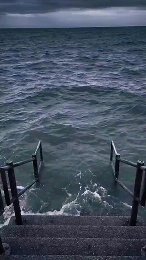 Toads Interacting with Food by the Ocean