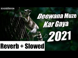 Deewana Mujhe Kar Gaya (Slow + Reverb) | Khuda Gawah | Alka Yagnik | Mohammad Aziz | Full Song
