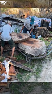 Extra large burl wood #woodworking #wood #design #ideas #crafts #diy #woodworker #woodart | WT Team Woodworking