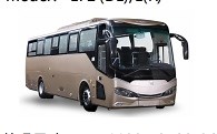 [Hot Item] New Diesel Engine Coach Bus 24-48 Seats Sightseeing Bus Customizable