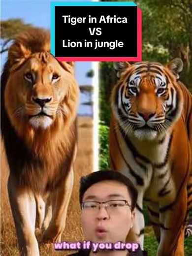 Tiger in Savannah, VS lion in jungle #animals #fyp #tiger #lion #ai | tiger