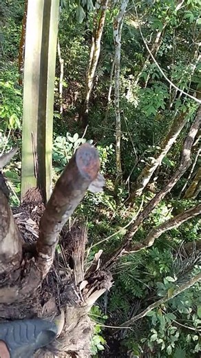 everything we do, failure always follows because we learn from failure#airnirahunter#reachwide#fyp