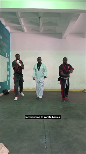 Introduction to basics of kenpo karate.🇰🇪#kenya