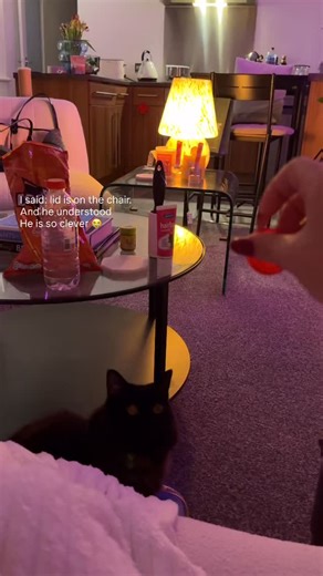 He learned reading since 2 months old 😝 #blackcatsclub #instacat #cat #virals | Leigh On Sea Arthurs Adventure