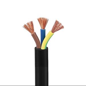 [Hot Item] Rvv 300/500V Copper Core PVC Insulated PVC Sheathed Flexible Cable