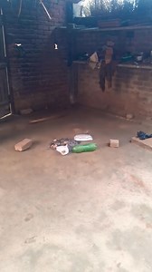 2.6M views · 246K reactions | Sare ladako ki kar do sadi #viralchallenge #dance #music #trendingvideo | Shalni Raj 100 | Facebook