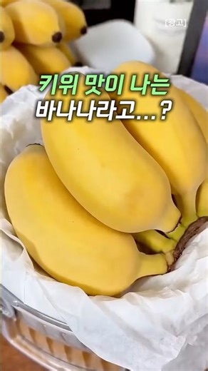 키위맛이 나는 바나나라고..? #바나나 #냉동간식 #과일간식 #건강간식 #생활꿀팁