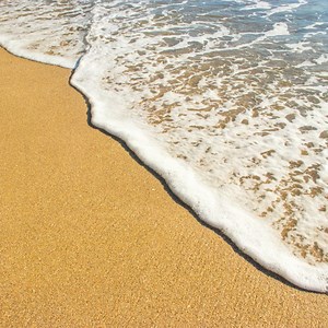 1.5K views · 26 reactions | The Locanto Team wishes all our Australian users a Happy Australia Day!  ☀️  ‍♂️ 輦  | Locanto | Facebook