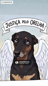 17K reactions · 2.6K shares | #REPOST @tripolioficial with...