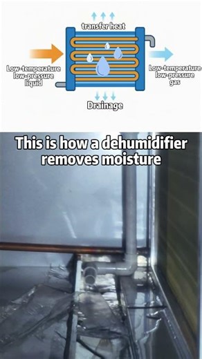 In a commercial grow room, humidity control is not abstract.