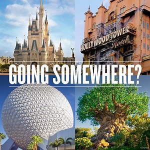 Going to the Parks? When you stay at a Disney Resort hotel, just sit back, relax and let us do the driving. Learn more - http://di.sn/6180DJvsO | Walt Disney World