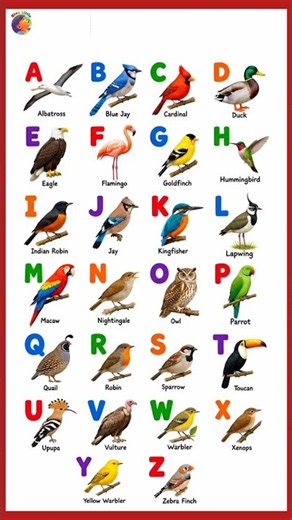 A to Z birds name for kids ||birds name with Alphabet song
