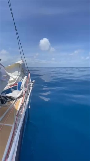 Team POSS v The Albatross 📍 A wind hole in the South Indian Ocean | Clipper Round the World Yacht Race