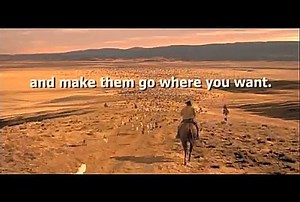 4.1K views · 36 reactions | HERDING CATS We first posted this a...