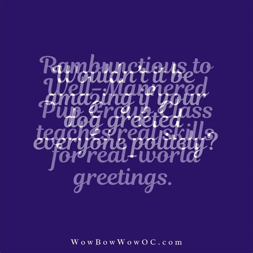 When Your Dog Jumps on Everyone…