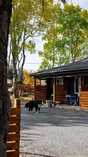 The Stranger | Every old motel has its quirks… and here are a few I’m ready to say goodbye to 😅 😮💨 The carpet, the showers, the ikea art — and the... | Instagram