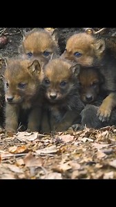 Udee C Udouwa on Reels