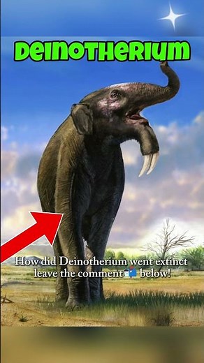 How did 'Deinotherium' went extinct! #animals
