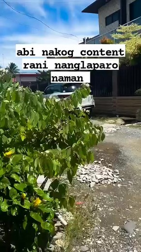 Nagpabuto dei c kuya Kay hapit ng December Tas Basa pa ang ikaduhang ulo ani ba藍 bawal sa bata #everyoneシ゚ #hilights #everyoneシ゚viralシviralシfypシ゚viralシalシ #everyoneactivefollowersシfypシ゚viralシalシ #everyonefollowers #everyoneactive #everyone #credittotherightfulownerofthisvideo #cctocredittotherightfulowner #cctoownerofthisvideo | Randy Jacalan | Facebook