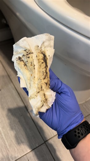 Takes a Village Cleaning on TikTok