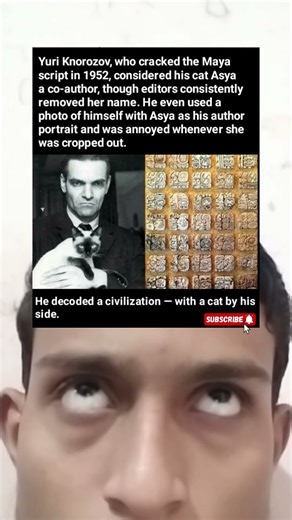 The Man Who Deciphered the Maya Script… and Credited His Cat Asya as Co-Author 😺📜