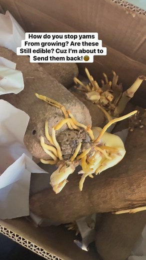 2.5K views · 56 reactions | Problems everywhere! | Simply Rosé | Facebook