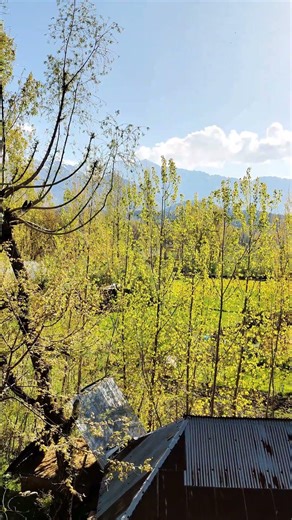 View from My Home in Kashmir Anantnag Wangund 😍 #shorts #kashmir #anantnag #viral #youtubeshorts