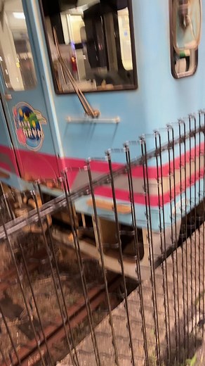 #樽見鉄道 #ローカル列車