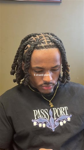 Hairstyles for Locs: 5 Strand Plaits and More