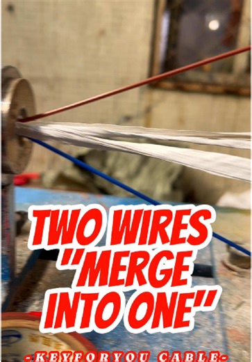Understanding Two-Color Wire Twisting Effects