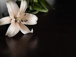 Baby Dies In Cartersville House Fire