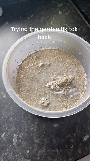 Garden Toilet Paper Grass Seed Hack Experiment