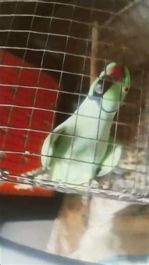 🙏🏼🙏🏼🙏🏼🙏🏻♥️❤️❤️❤️❤️