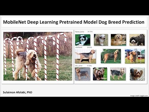 MobileNet pretrained deep learning model using google colab