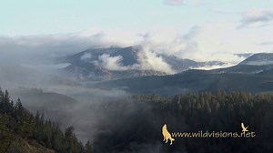 Time lapse landscapes of the natural world from North America