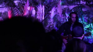 14K views · 347 reactions | Hey Swamp Moshers, this is a live performance of ' Hand in a Hole ' from our DVD ' Let's Get Live '. This song was inspired by Kalahari bush monkeys who literally get their hands stuck in holes, where as us humans become dependant on stuff that has no positive outcome on our world and ourselves. Cheers, Mike. | Swamp Thing | Facebook