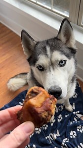 225K views · 4.4K reactions | Taste test: Husky edition. | The Husky Moon | Facebook
